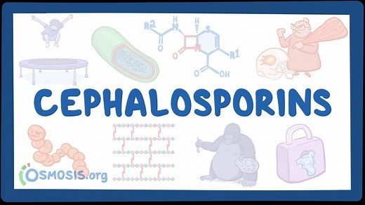 Cell wall synthesis inhibitors: Cephalosporins: Video, Causes, & Meaning | Osmosis