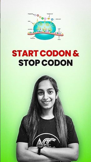 || Start Codon & Stop Codon ||