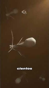 El virus más letal que nos ayuda #biología #medicina