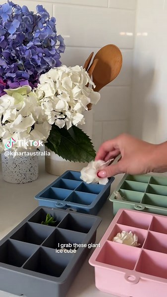 Giant Ice Cube Trays: Perfect Summer Hack from Kmart