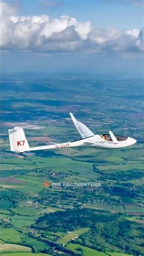 GLIDER : The Art of Pure Flight