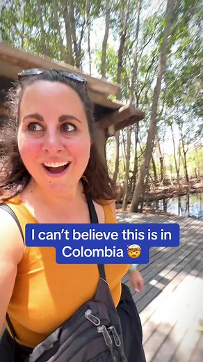 Nick, Sam, Goose & Mona on TikTok