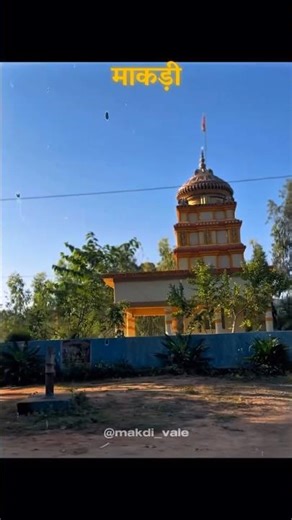 MAKIDI WALE MAKDI CHOTA SA GAON #viralvideo #like #ytshorts #youtubeshorts #viral #shorts