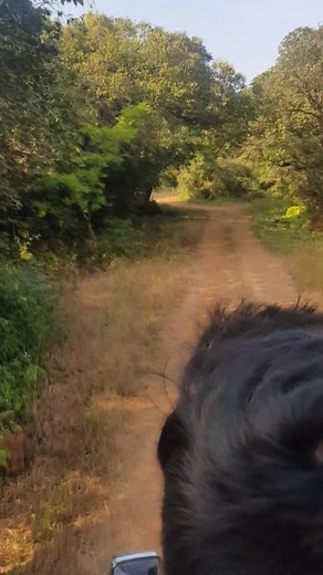 Jay PUBG 🔫🔫⚔⚔🗡🗡✈✈🚗🚗🏹🏹🛡🛡