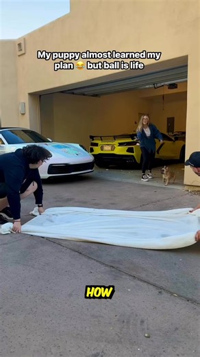 How to give your puppy a bath the smart way!! #fblifestyle | Austin Sprinz