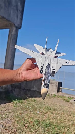 1/72 Scale F-14 Model Fighter Jet