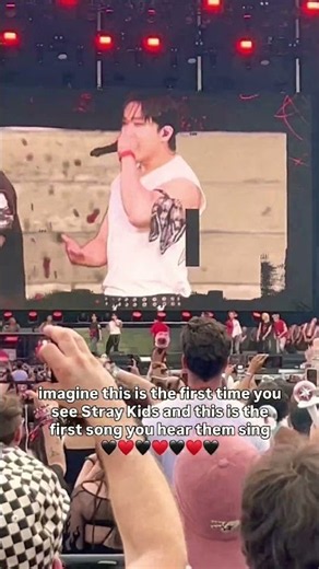 stray kids - topline (han changbin hyunjin fan cam) skz 2026