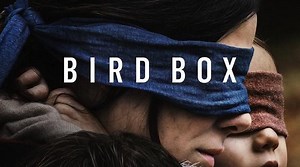 Netflix warns against 'Bird Box' challenge as dangerous trend goes viral