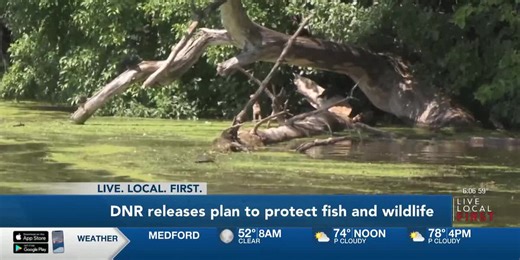 DNR releases plan to protect fish and wildlife