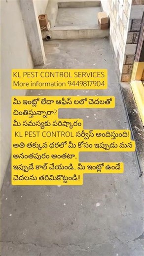 kl pest control Anantapur | Anti termite treatment services | Home service | trending చెదలు నివారణ