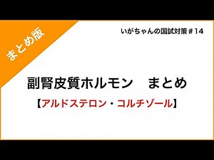 副腎皮質ホルモン 作用まとめ【アルドステロン・コルチゾール】