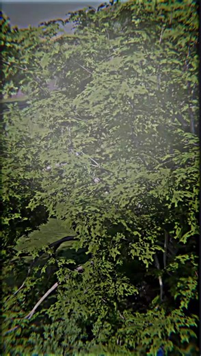 Understanding Planetary Facts: Don't Fall for Misconceptions