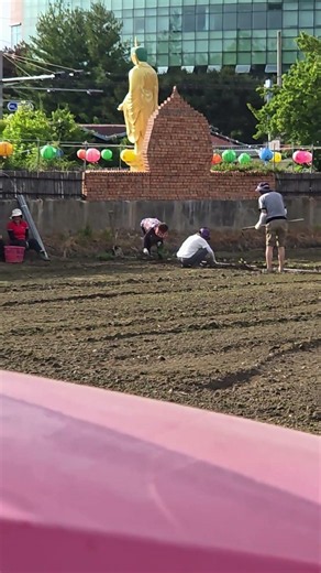 절앞 문전옥답 열심히일한다!