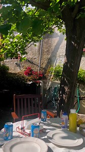 Lunch with the family in Greece 😉🇬🇷Food, laughter, loud voices, rembetika, sun ☀️ Have you ever been invited to a Greek lunch or dinner? Tell me what surprised you the most! #greekfood #greekculture #greekhospitality #greektradition #greekmymind | GreekMyMind