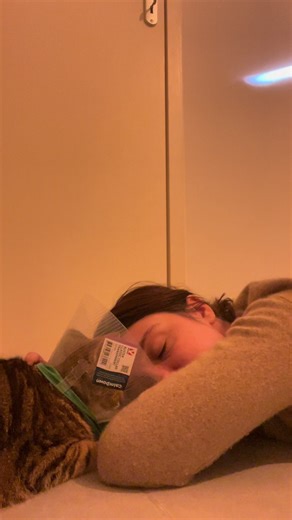 Accident tragique de notre chat : Une histoire de survie