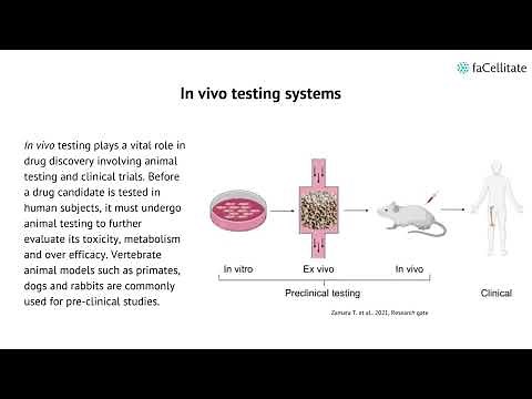 In vivo vs in vitro systems