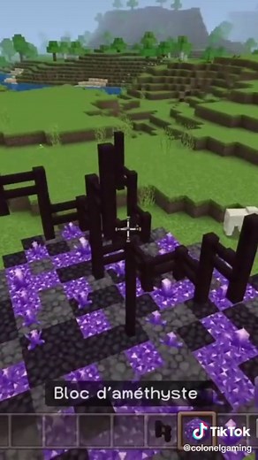 🇨🇵 Comment faire un arbre d'améthyste sur Minecraft ?Abonne toi pour d'autres tutoriels😉#minecraft #minecraftdesign #minecraftideas #minecraftbuild #minecraftforever #minecraftforlife #minecraftbuilding #minecraftasthetic #minecraftbedrock #minecraftconsole #minecraftcavesandcliffsupdate #minecrafttutorial #minecraftguide #minecraftconstruction #minecraftinspiration #minecraftamethyst #amethyst #minecrafttuto #tutominecraft #tutominecraftpourdebutant #minecraftnature #minecrafttree #minecraft