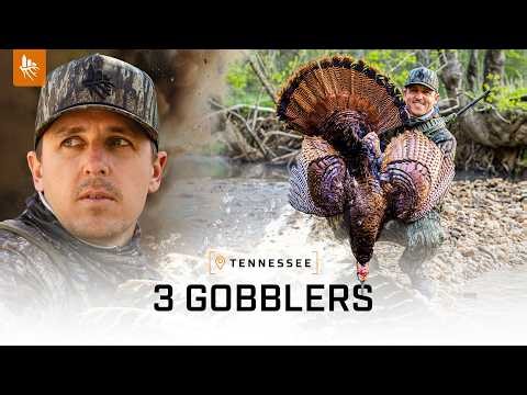 Opening Week TRIPLE | Hunting Turkey MECCA
