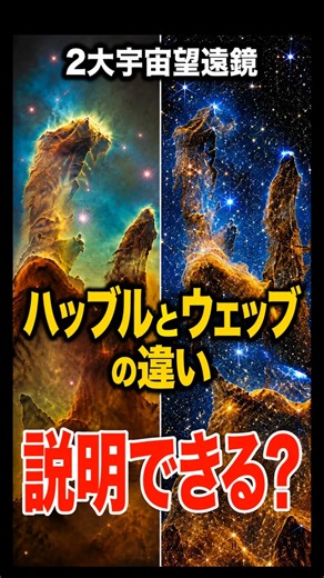 【宇宙望遠鏡】ハッブルとウェッブ、“決定的な違い”知ってる？ #宇宙雑学 #トリビアの樹 #ハッブル宇宙望遠鏡 #ジェイムズウェッブ宇宙望遠鏡 #宇宙 #shorts