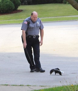 2011: The Year of the Skunk
