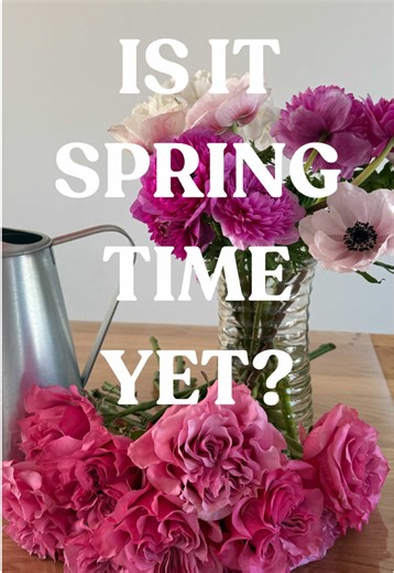 Is it spring time yet? Certainly feels like it with all of these gorgeous spring flowers in bloom 💐🩷🌸 #layasflowershop #springflowers #loop #reels #new #flowers #florist #tomballtexas #texas #houston #htown #thingstodo #popular