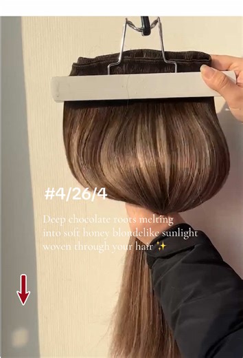 Balayage Chocolate Brown to Honey Blonde Transformation