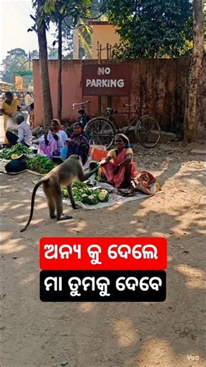 ମା ତୁମକୁ ଦେବେ /#maadurga #maashakti #maa #shortsviral #shorts #ytshorts #laxmi #maakali #yt #mata