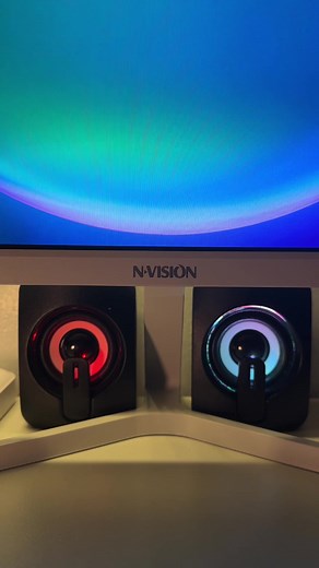 NVISION Monitor: Everything You Need to Know - Affordable Gaming and Editing Monitor