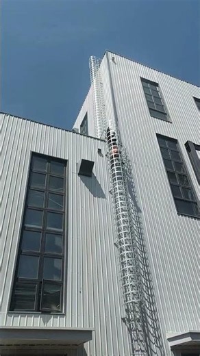 Steel Ladder with Safety Cage Installation Completed | Industrial Access System