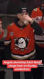 Angels shortstop Zach Neto, plus Angels teammates Logan O'Hoppe, Caden Dana and Sebastian Rivero Jot the chance to watch Monday's preseason game between the benches, and Neto chugged his beer when shown on screen. @Anaheim Ducks scored two goals in the next 1:15. Coincidence? I think not. @The Sporting Tribune #AnaheimDucks #Angels #ZachNeto #Beer #Hockey @Los Angeles Angels via ZachCavSports on tik tok | HALO SPACE