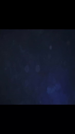 Chase the 🐋 for forty days or even more #wellerman #metal #seashantytiktok #wellermanshanty #wellermansong #fyp #tiktok #foryou #foryourpage #music