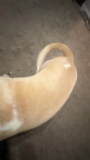 Michael Pack on Reels | Facebook