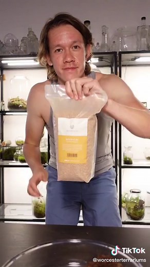 Terrarium Soil Mix Recipe for Terrarium Success