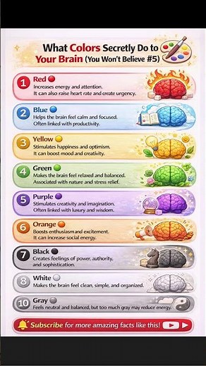 What Colors Secretly Do to Your Brain 🎨 | Color Psychology Explained