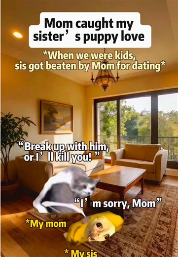 That’s hilarious 😂#catmemes #funny #hilarious #abstract | Cat Memes