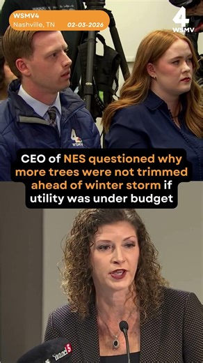 NES CEO questioned why utility did not trim more trees ahead of winter storm