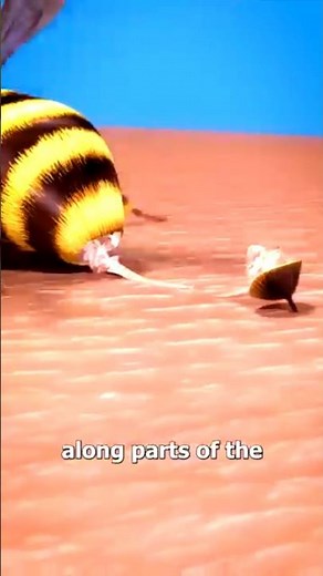 Why Do Bees Die After Stinging? 🐝💔