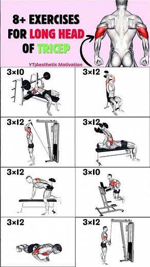 Top 8 Exercise For Long Head of Triceps #workout #tricepsworkout
