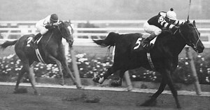 Seattle Slew: The Tale Of An Extraordinary Racing Legend