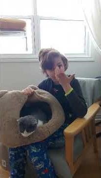 My Kitty Cleopatra. Part 1. #pets #historylovers