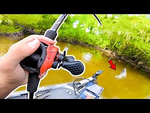 Catching GIANT Bass in SMALL Backwater Creeks (River Fishing)