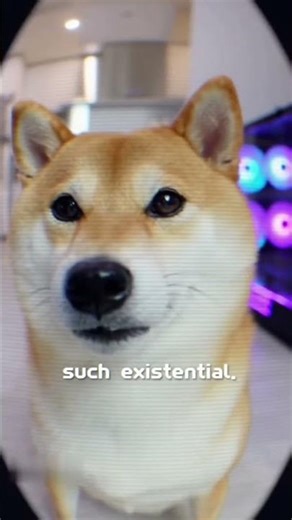 wow. such meme. much doge. #doge #wow #meme #dogememes #memes
