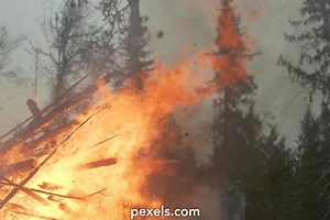 Logging Accidents Videos, Download The BEST Free 4k Stock Video Footage & Logging Accidents HD Video Clips