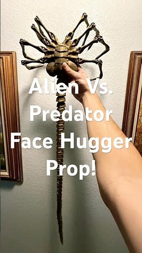 Alien Vs. Predator Face Hugger Prop! Fully 3D printed on a Bambulabs P1S.
