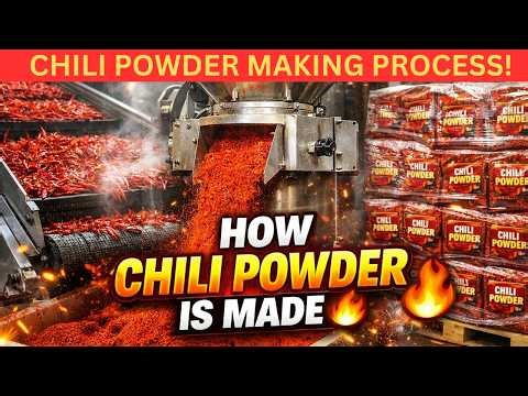 Inside a Modern Chili Factory 🌶️ How Chili Powder Is Made Full Process Revealed!