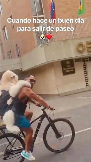 When it's a beautiful day for a walk 🐶❤️ #viralvideo #funny #dog #dogs