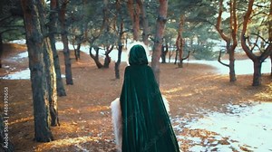 shot mystical lady in medieval clothing long green cloak cape, coat with fur, woman queen walks in winter forest conjures, girl in hood. Spring nature. Back rear view, fantasy vintage creative video.