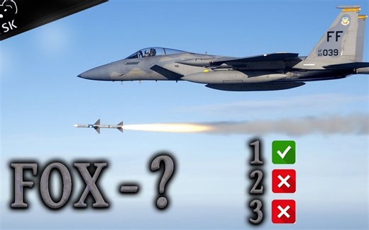 【中字】空战交流简码：导弹发射时喊的FOX是什么意思？
