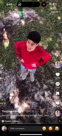 Caillou Climbs A Tree