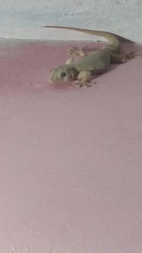 Manish Kumar | Manish Kumar